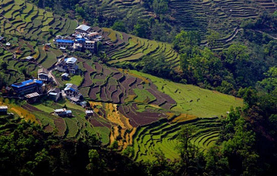 poon hill yoga trek in nepal