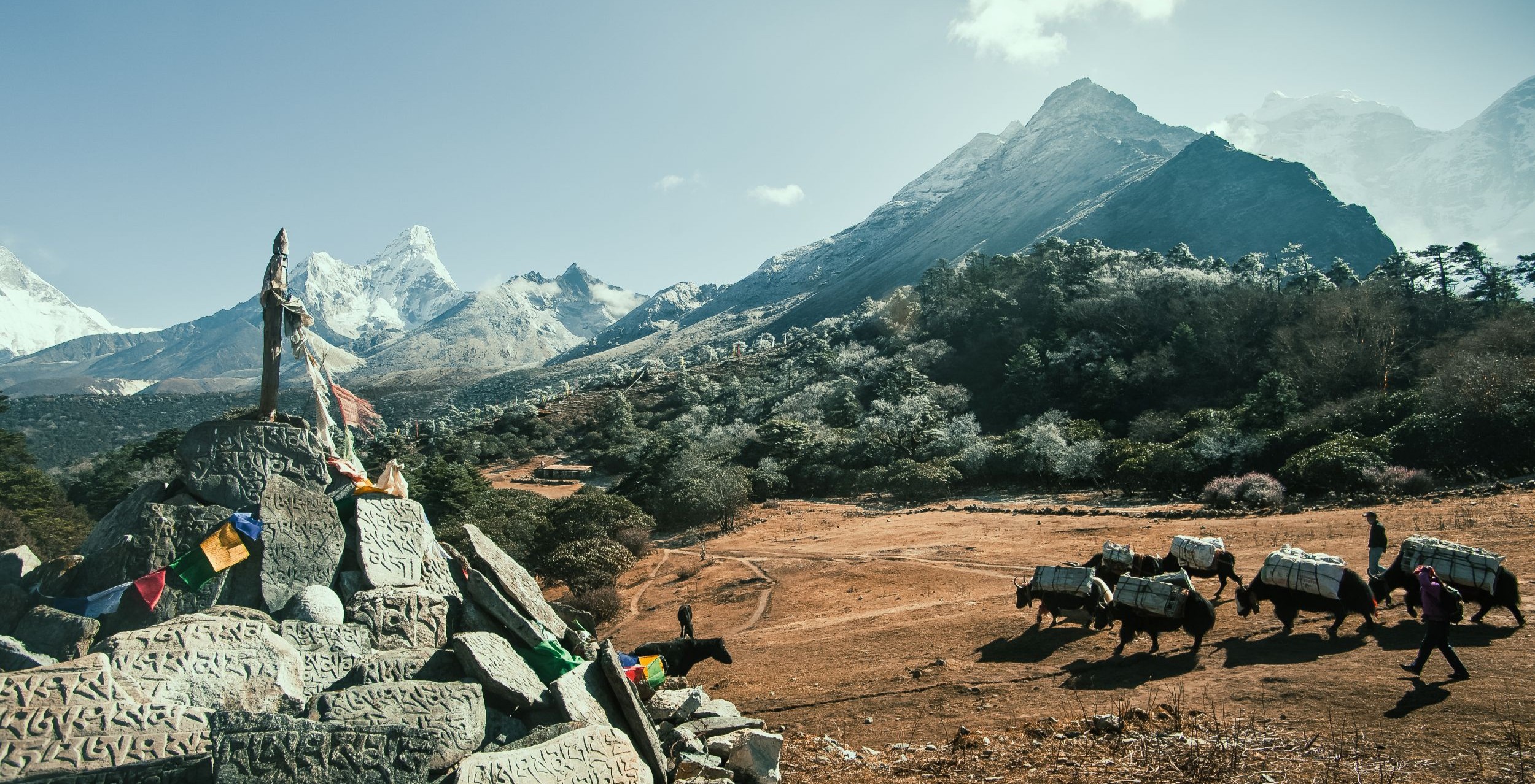 Annapurna and Everest Luxury Trek