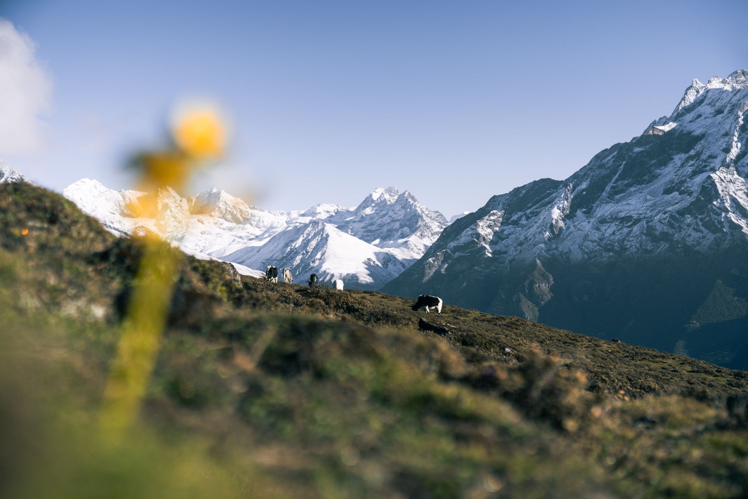 MLN Kongde Trail View - Everest Luxury Lodge Trek - Trekking Team Group Nepal