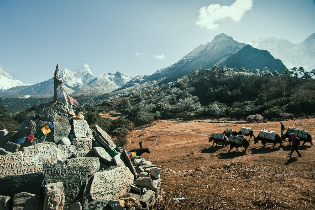 Namche Day Hike - Everest Luxury Lodge Trek - Trekking Team Group Nepal